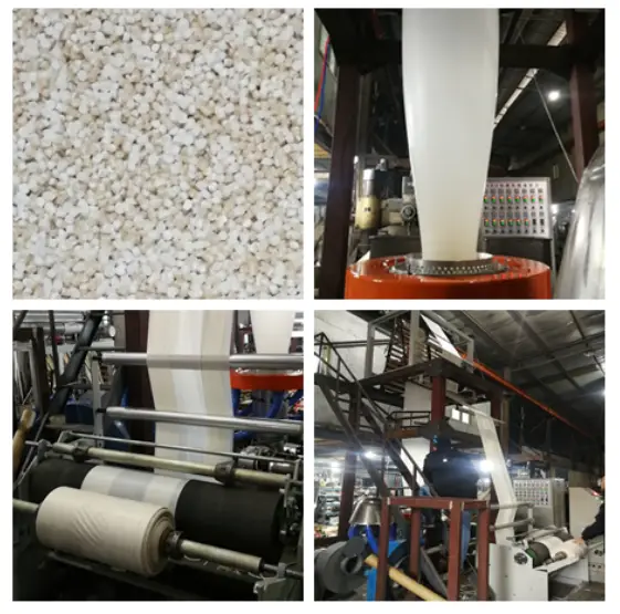 biodegradable blown film extrusions